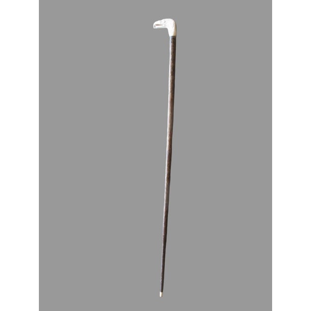 Cabin Eagle Head Finely Carved Deer Antler Antique Walking Stick Cane For Sale - Image 3 of 8