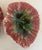 19th Century Leaf Dishes, Set of 2, C. 1880's For Sale - Image 9 of 11