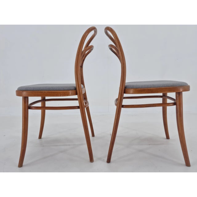 Set of Bentwood Chairs by Antonín Šuman, 1960s For Sale - Image 4 of 12