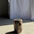Small Side Table in Petrified Wood, Black Heartwood, Bark with Black and Beige Streaks, 1980s For Sale - Image 6 of 18