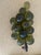 Mid Century Modern Green Lucite Grape Cluster For Sale - Image 9 of 13