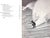 "Surfing" Book 1965 Klein, H. Arthur For Sale In New York - Image 6 of 12
