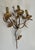 1970s 3-light wall sconces in gilded metal with leaves. French work - a Pair For Sale - Image 10 of 12