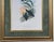 Antique John Gould 1850s Hand Colored Hummingbird Lithograph Campylopterus Delattrei Custom Framed For Sale - Image 4 of 14