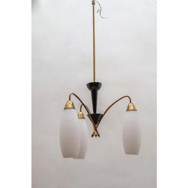 Opaline Glass Suspension Lamp, 1950s For Sale - Image 6 of 13