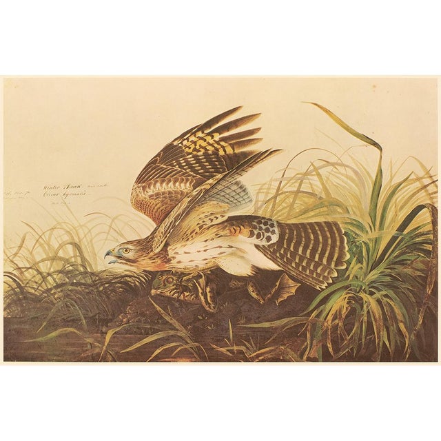 A stunning extra large vintage Cottage Style reproduction of the original lithographic print of the Winter, or Red-...