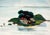 Alexander Nepote "Island in the San Francisco Bay" Watercolor Landscape 1938 For Sale - Image 4 of 8