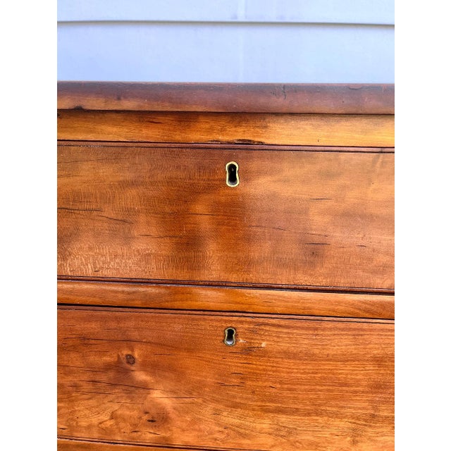 Mid-Century Modern 19th c. Kentucky Cherry Chest of Drawers For Sale - Image 3 of 8