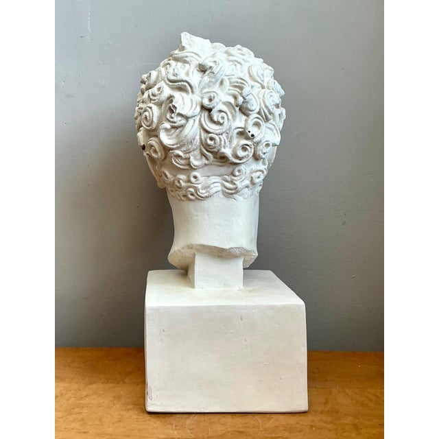 Vintage Plaster Classical Bust of Roman Warrior For Sale - Image 13 of 18