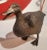 Metal Early 20thc Brass Duck Ornament For Sale - Image 7 of 7
