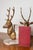 Gold Pair of 20th-Century French Stag Bookends in Gilded Metal and Marble For Sale - Image 8 of 8