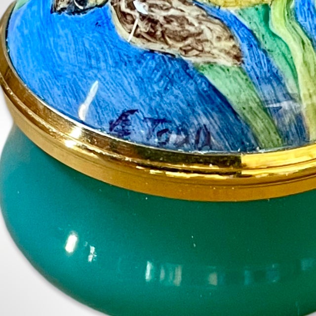 Elliot Hall Enamels Sea Turtle Wildlife Trinket Box by Elizabeth Todd For Sale - Image 4 of 10
