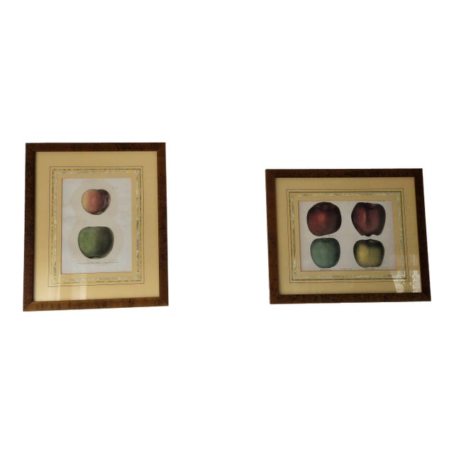 Pair of 19th‑Century Original Apple Lithographs — Emmons / Endicott / Pease — Professionally Framed For Sale