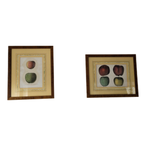 Pair of 19th‑Century Original Apple Lithographs — Emmons / Endicott / Pease — Professionally Framed