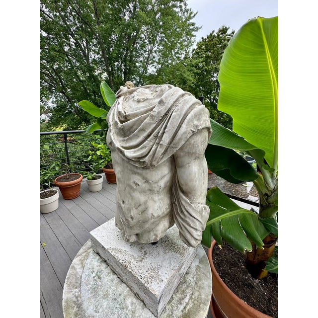 Roman Marble Torso For Sale In Boston - Image 6 of 9