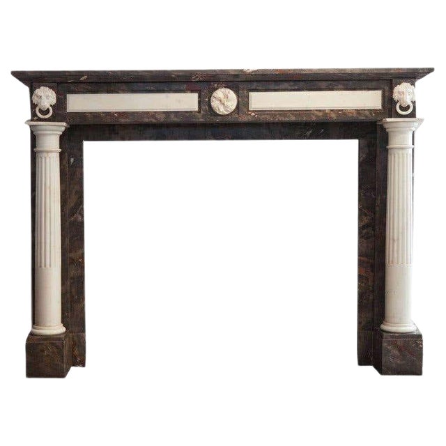 19th Century Empire Marble Fireplace Mantel with Carved Columns and Lion Heads For Sale