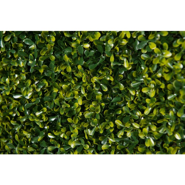 Contemporary Modular Flat Boxwood Wall Vertical Garden Panel from VGnewtrend For Sale - Image 3 of 6
