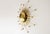 Mid-Century Modern Sunburst Sputnik Wall Lamp in Brass, 1950s For Sale - Image 3 of 16