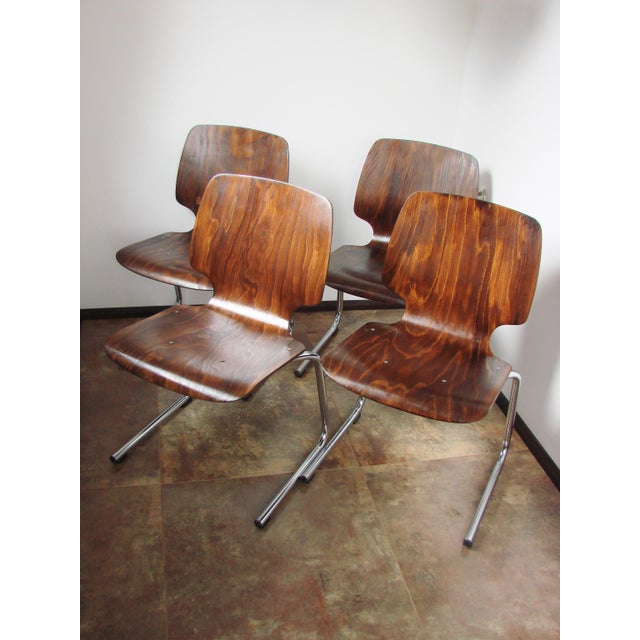 Flötotto Chairs by Kusch+Co, 1960s, Set of 4 For Sale - Image 14 of 15