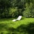 This fiberglass chaise longue ‘Eurolax R1’ is designed by Charles Zublena. The ‘Eurolax R1’ designed specifically for the...