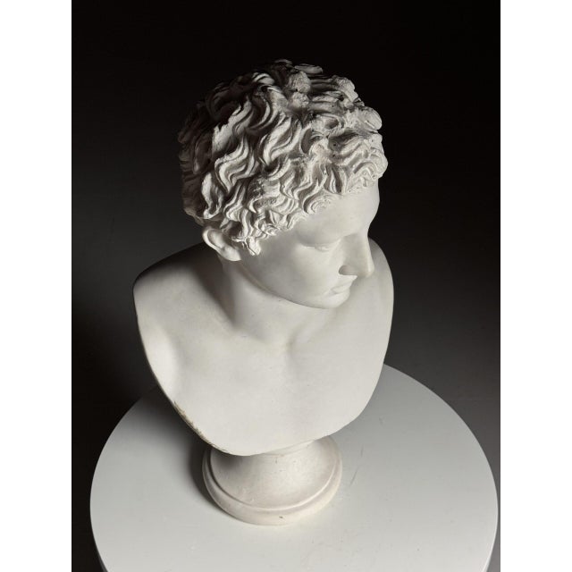 Bust of Meleager, Late 20th century, Stone For Sale - Image 18 of 18
