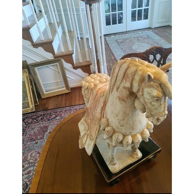 Tang Dynasty Terracotta Pottery Parade Horse, For Sale In Philadelphia - Image 6 of 10