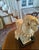 Tang Dynasty Terracotta Pottery Parade Horse, For Sale In Philadelphia - Image 6 of 10