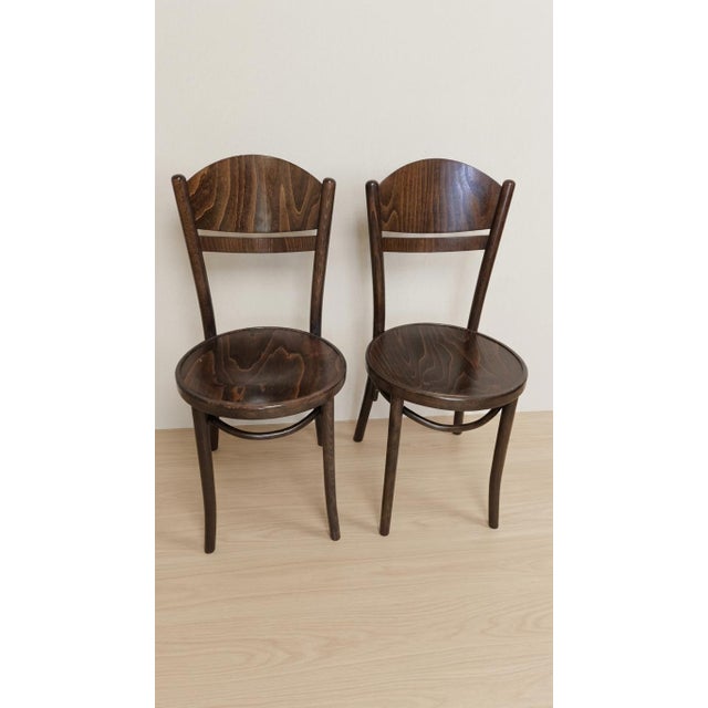 Brown Vintage Ton Wooden Dining Chairs, 1940s, Set of 4 For Sale - Image 8 of 16