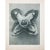 Charcoal 1935 Karl Blossfeldt Photogravure N63-64 For Sale - Image 8 of 10