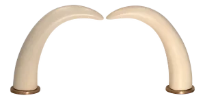 Decorative Mounted Tusks - A Pair