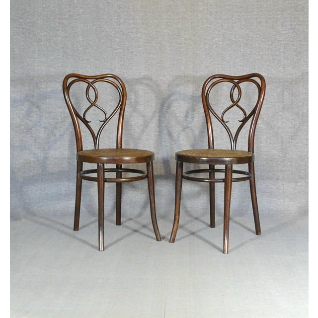 Art Nouveau New York Chairs by Michael Thonet for Gebrüder Thonet, 1925, Set of 6 For Sale - Image 3 of 15