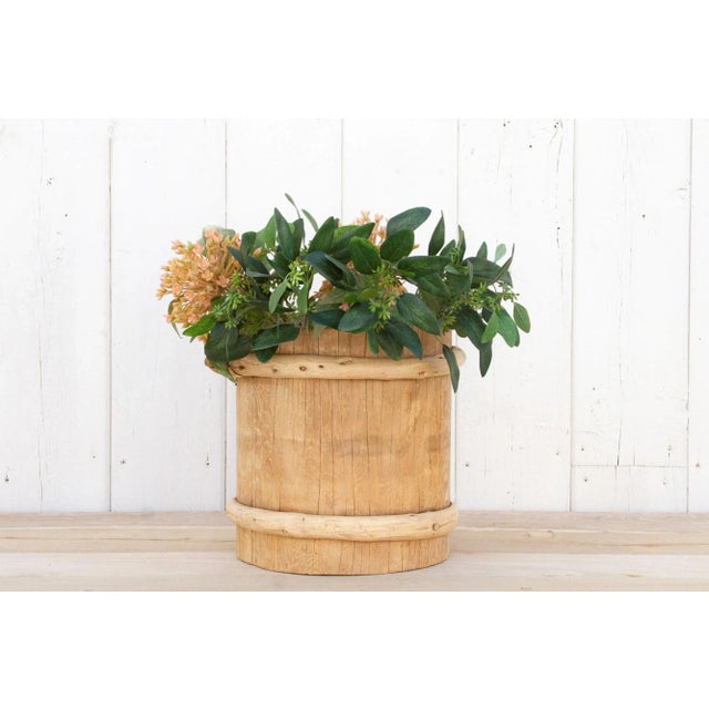 Wood Chinese Fruit Container For Sale - Image 7 of 8