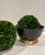 Art Deco 2000s Scallop Edge Chinoiserie Black Bowl For Sale - Image 3 of 4