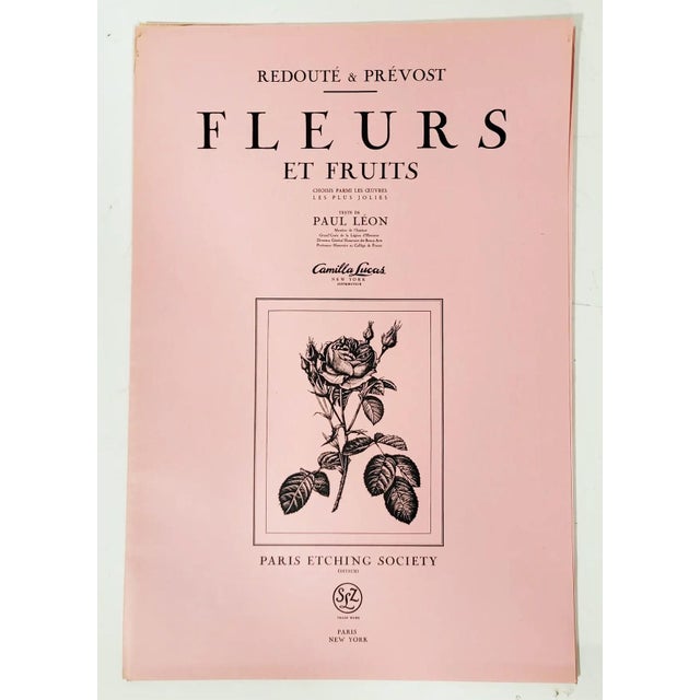 Vintage French Portfolio Set of 14 Etching Plates Botanical Floral Engravings - Paris For Sale - Image 10 of 12