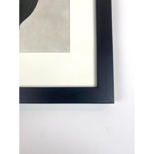 Photorealism 1940s Framed Botanical Blossfeldt Print - No. 48 For Sale - Image 3 of 5