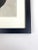 Photorealism 1940s Framed Botanical Blossfeldt Print - No. 48 For Sale - Image 3 of 5