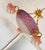 Antique Purple Chandelier For Sale - Image 3 of 10