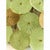 Contemporary Green Water-Lily Brass and Murano Glass Sputnik Flush Mount by Simoeng for Simoeng For Sale - Image 3 of 7
