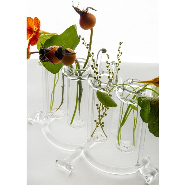 Contemporary Vases in Borosilicate Glass by StudioNotte For Sale - Image 3 of 8