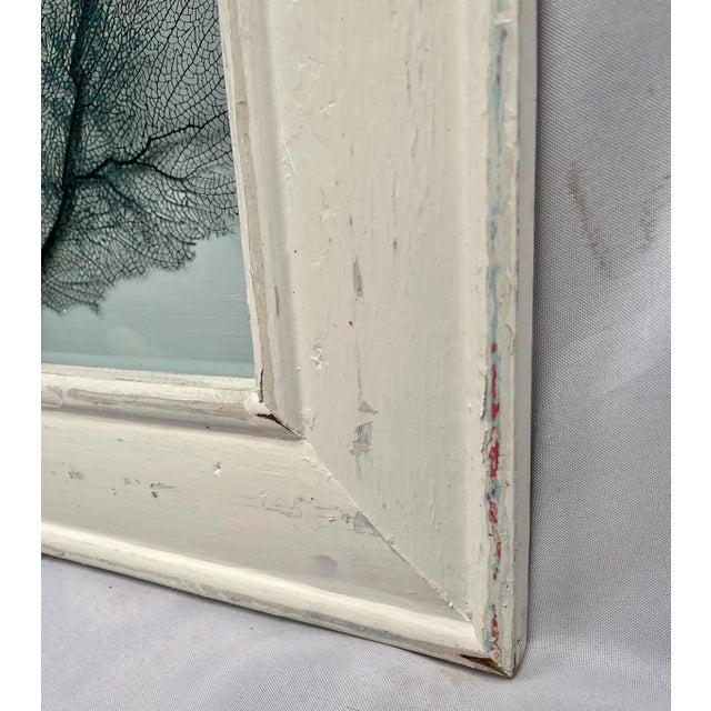 2010s Framed Natural Sea Fan For Sale - Image 5 of 13