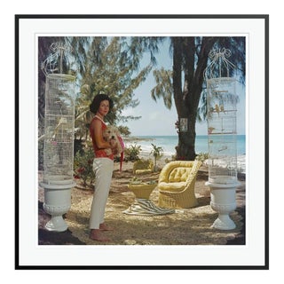 Contemporary Gloria Schiff 1961 by Slim Aarons Black Framed C Print For Sale