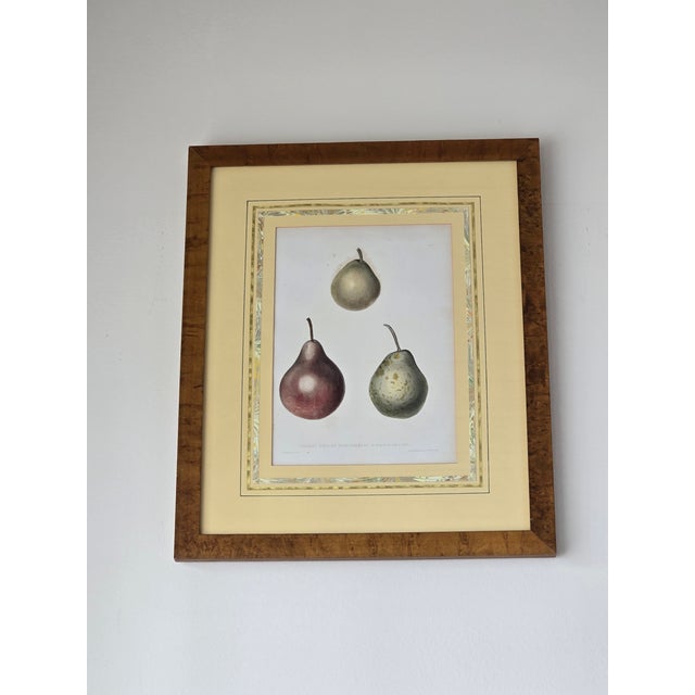 A beautifully curated set of three original 19th‑century fruit lithographs, each drawn and printed by noted American...