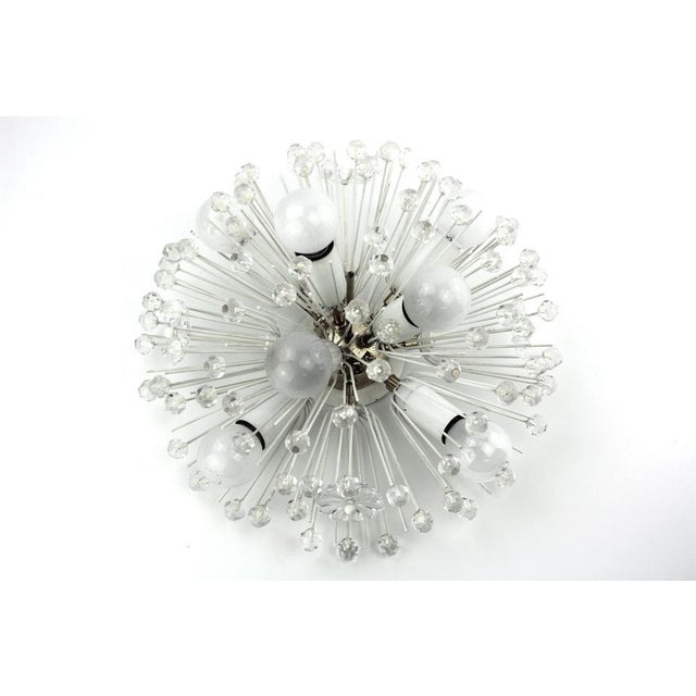7-Light Ceiling or Wall Lamp By Emil Stejnar for Nikoll, 1950s For Sale - Image 11 of 11