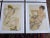 Printmaking Materials Authentic Vintage 20th Century Signed Egon Schiele Expressionist Nude Female Figural Lithographs - Set of 12 For Sale - Image 7 of 8