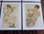 Printmaking Materials Vintage 20th Century Signed Egon Schiele Expressionist Female Figural Lithographs - Set of 12 For Sale - Image 7 of 8