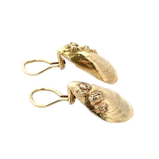 Mid 20th Century Donald Rywell 14k Yellow Gold Shell Earrings, A Pair For Sale - Image 4 of 5