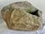 Contemporary Pair of Organic Rock Planters C. 1960's For Sale - Image 3 of 10