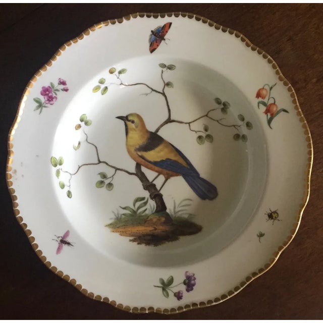 Antique 19th Century Meissen Porcelain Soup Bowl with Decoration of a Bird with Butterfly & Insects For Sale In New York - Image 6 of 13