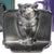 Mid 20th Century Gothic Medieval Cat Cast Iron Bookends-a Pair For Sale - Image 10 of 12