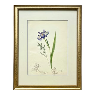 Antique Original Floral Watercolor Botanical Painting Titled "Beautiful Lilly" in Calligraphy 19th /Century For Sale